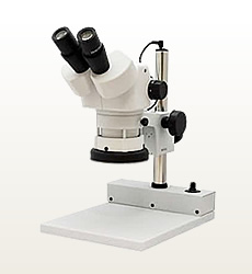 Stereo Micorscope